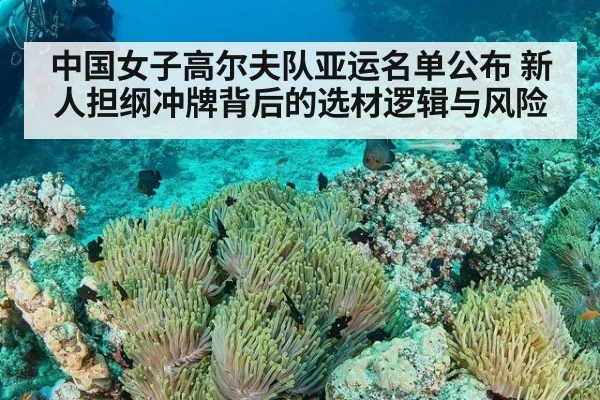 中国女子高尔夫队亚运名单公布 新人担纲冲牌背后的选材逻辑与风险